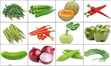 காய்கறியில் கிடைக்கும் பலன்கள்  என்ன ?