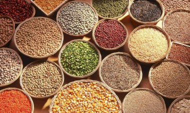 சிறுதானியங்களில்  ஊட்டச்சத்துகள்