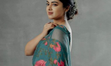 மயக்கும்  சித்தித்னானி பார்த்தீர்களா..!