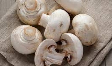 மழைக்காலங்களில் கிடைக்கும் மருத்துவம்