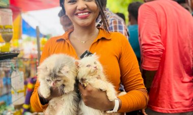 ஷாலு வின் லுக் ரசிகர்கள் நாக் அவுட்