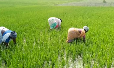 நம் பண்டைய பழமொழிகள்