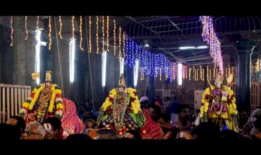 வைகுந்த ஏகாதசி பகல்பத்து 10ம் நாள் திருவிழா – நம்பெருமாள் ரத்தின கிளி, தலையில் நாகாபரணம், பவளமாலை உள்ளிட்ட ஆபரணங்கள் அணிந்து மோகினி அலங்காரத்தில் பக்தர்களுக்கு சேவை