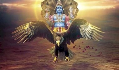 கருடன் பற்றிய 12 அரிய தகவல்கள்..!!