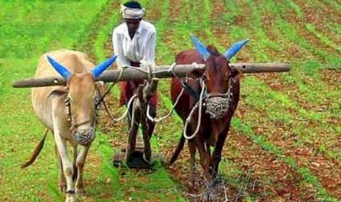 பஞ்சாப் நேஷனல் வங்கி உழவர் பயிற்சி