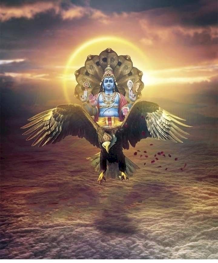 கருடன் பற்றிய 12 அரிய தகவல்கள்..!!